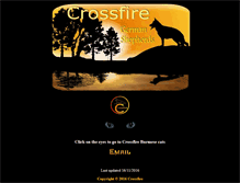 Tablet Screenshot of crossfiregsd.com